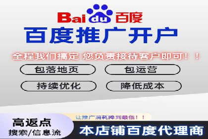 某品牌SEM广告投放的ROI提升案例